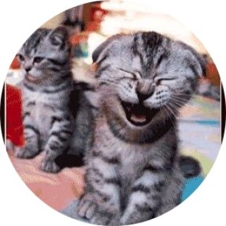 sweetpickle_1 avatar