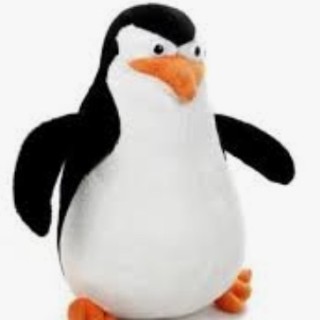 YesMemesCoolMom avatar