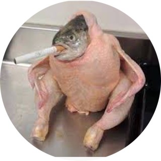 brainybison5240 avatar