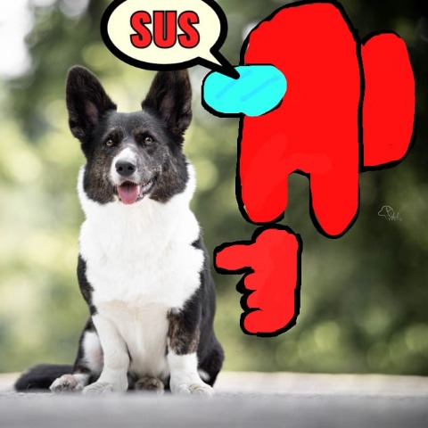 Spinning_potato avatar