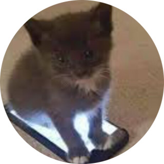 I_Like_Memes_1232 avatar