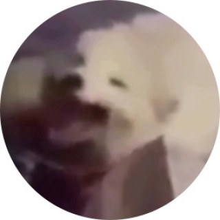 youHaveBeenStoped avatar