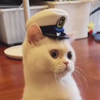 ZeBestMemesOutThere avatar