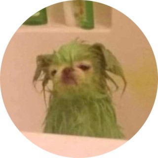 cheesecrackers avatar