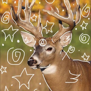 Sage_The_Therian avatar