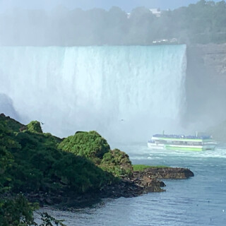 Mockingjay634 avatar