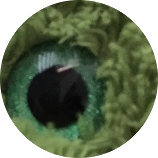 cade_the_gamer avatar