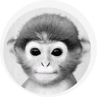 wetardmakingmemes avatar