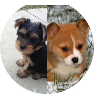 i_am_the_best avatar