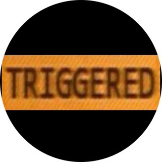 JulianIsTRIGGERED avatar