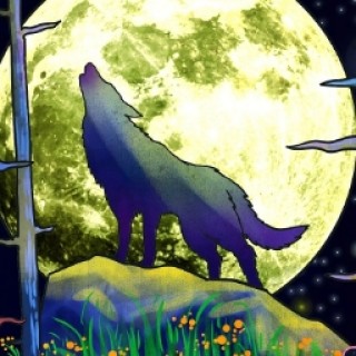 sorryyouaretoobuetiful avatar