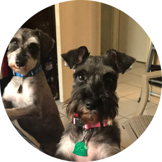 memesforlife7134 avatar