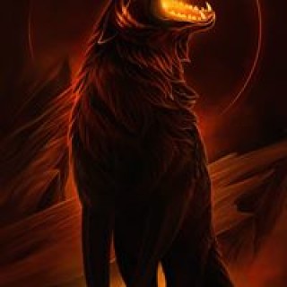 dubielkuba604 avatar