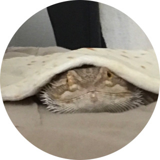 cosmiicnights avatar