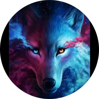 mrwolffraft avatar