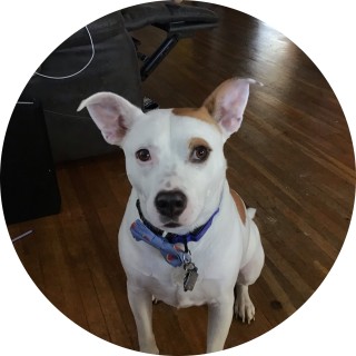 spotsowner1104 avatar