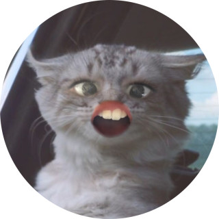 Kennithpoopycactus avatar