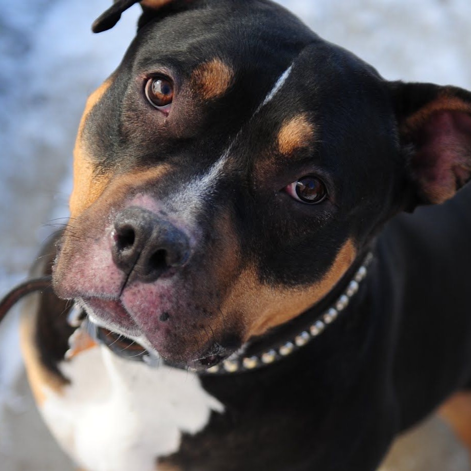 ilikeyourcutg_XD avatar