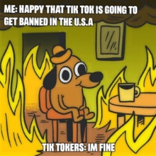 ieatawormforlunch12345 avatar