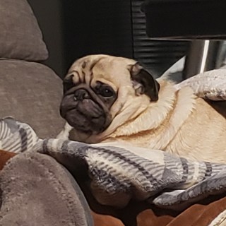 meme.master_butnotrlly avatar