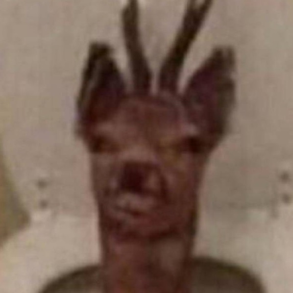 A_nobody_looking_at_memes avatar