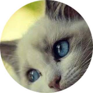 kayla_for_memes avatar