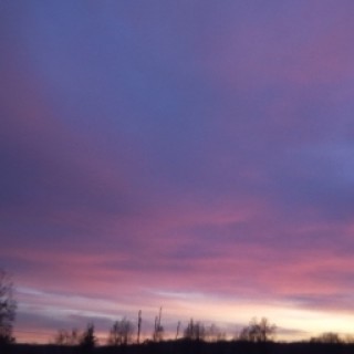 Memes_hahahah avatar