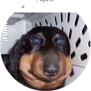 Punisher_Of_Memes avatar