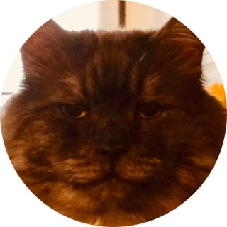 mememachine93 avatar