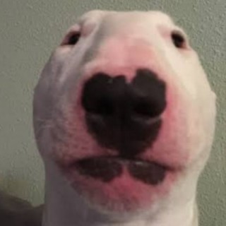 __DaNk_MeMeZ___ avatar