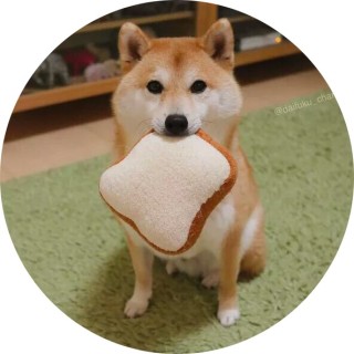 the_god_of_sleep avatar