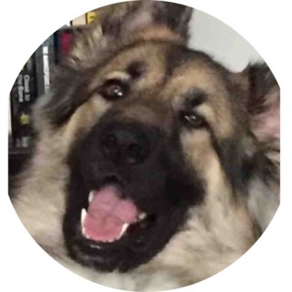 caninememes