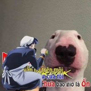 cutocoquyen19123 avatar