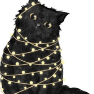 Just_a_ridiculous_cat avatar