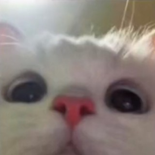 MEISPOTATOOOO avatar