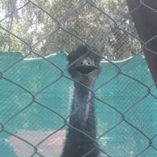 abdulhadiwaince avatar