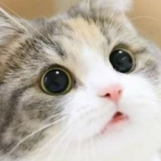 cute_but_psyco avatar