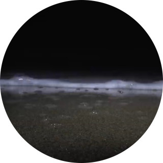 musked_elonder avatar