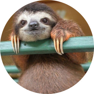 that_sloth avatar