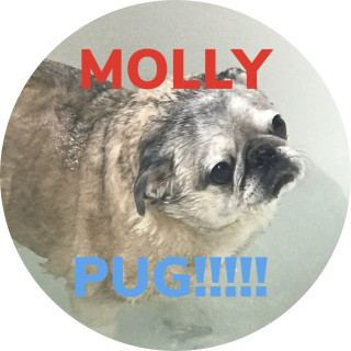 gillbert_the_duck avatar