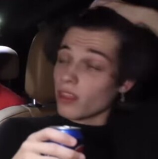 bisexualferret avatar