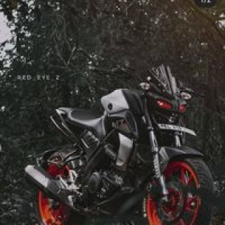 senlemtaiju11 avatar