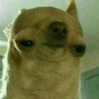 checkthefuckouthere avatar