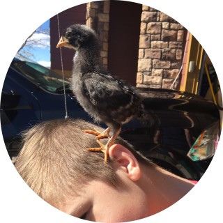 chucky_doodles avatar