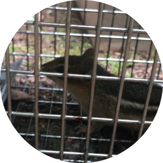 depressed_memes4u avatar