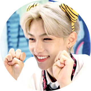 straykids_stay avatar