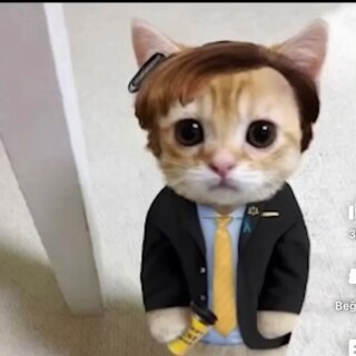 Yigitmermer5858 avatar