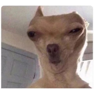 ThatswhatISaid55 avatar