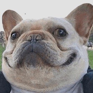 meme_forever00 avatar