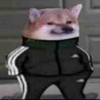 gay_little_monkey avatar